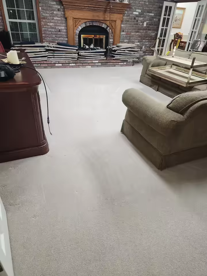 Freshly cleaned living room carpet by Pro-Techs