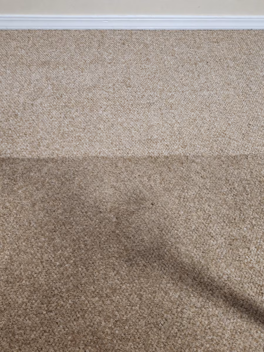 The visible difference between cleaned and not-yet-cleaned carpet beneath a white baseboard