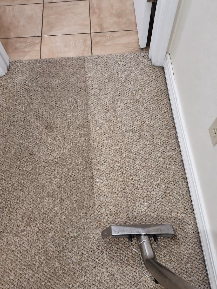 Pro-Techs extraction wand cleaning carpet beside a tiled doorway