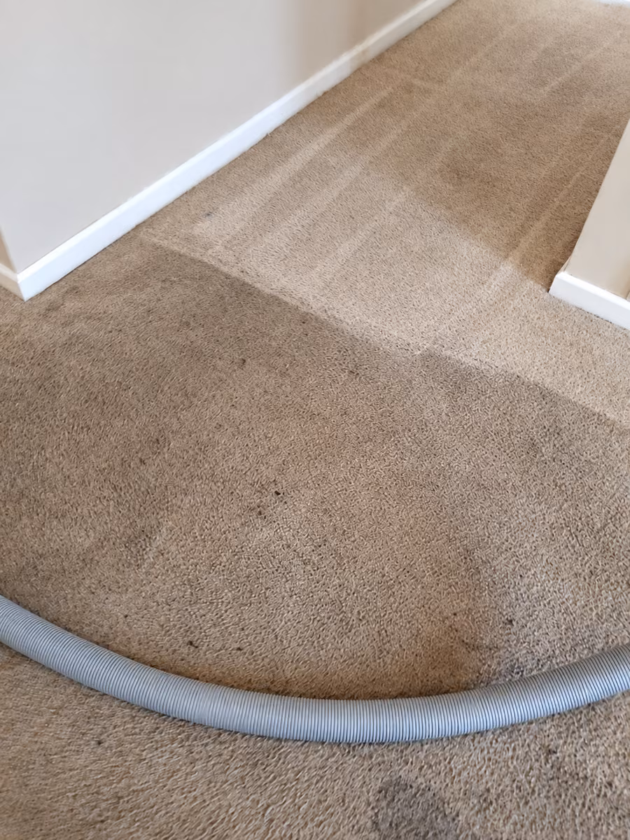 Pro-Techs carpet cleaning in progress in a hallway, with a gray extraction hose