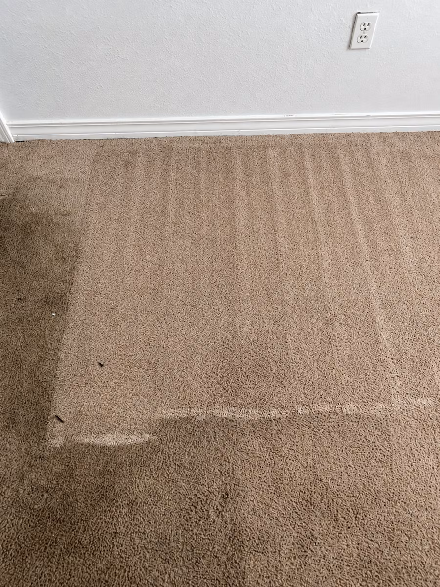 Cleaned and not-yet-cleaned sections of carpet beside a wall outlet during a Pro-Techs job